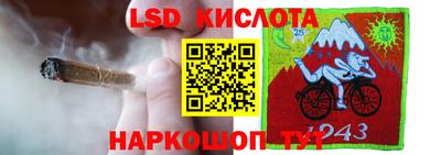 ГАЛЛЮЦИНОГЕННЫЕ ГРИБЫ Сланцы