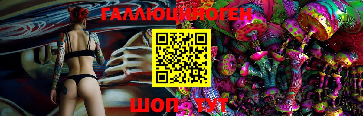 Галлюциногенные грибы Magic Shrooms  Вход с VPN  Галлюциногенные грибы Psilocybe  Отрадный 